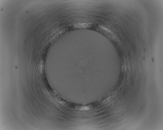 X0000079320647200612151818