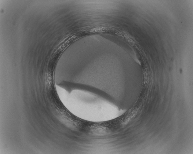 X0000079320648200612151818