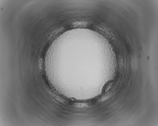 X0000079320649200612151818