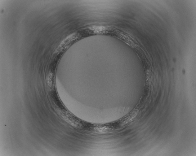 X0000079320650200612151818