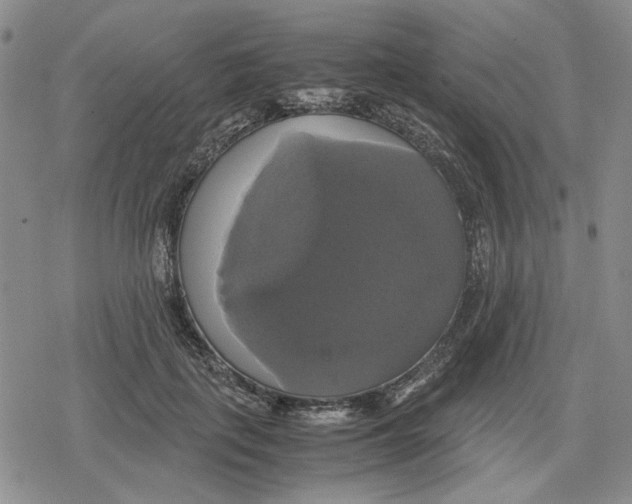 X0000079320651200612151818