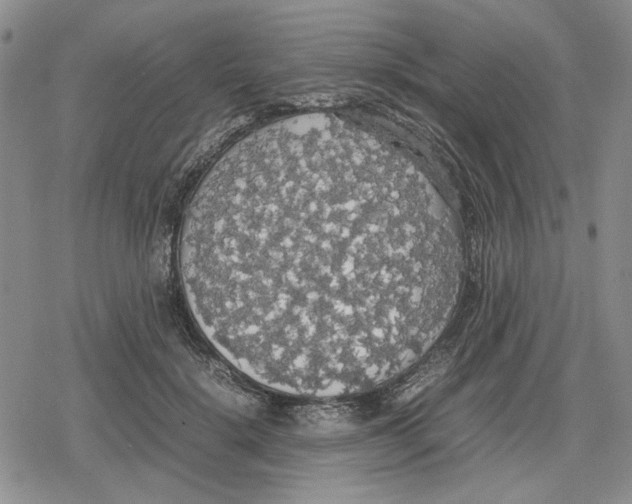 X0000079320652200612151818