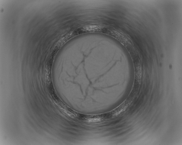 X0000079320653200612151818