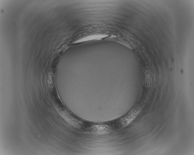 X0000079320654200612151818