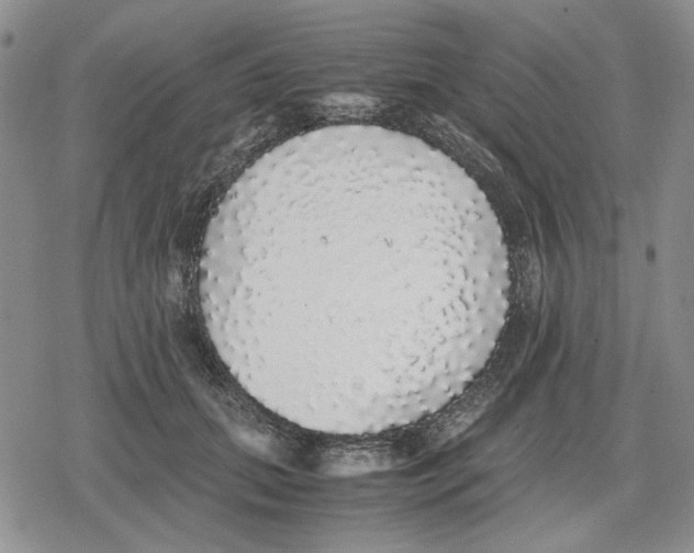 X0000079320655200612151818