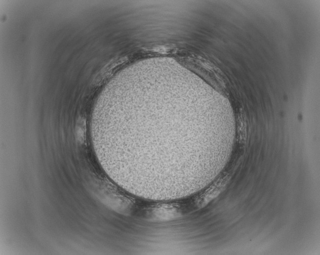 X0000079320656200612151818