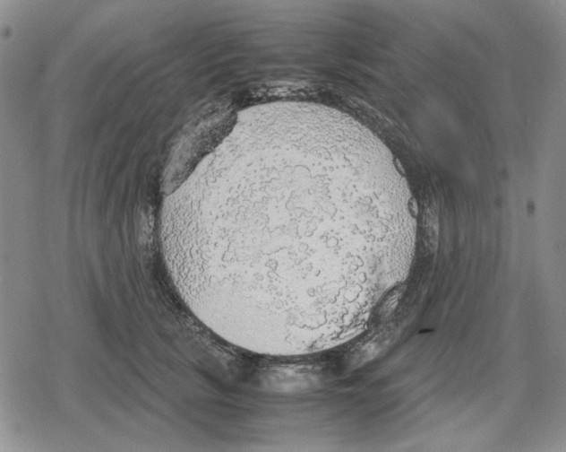 X0000079320657200612151818