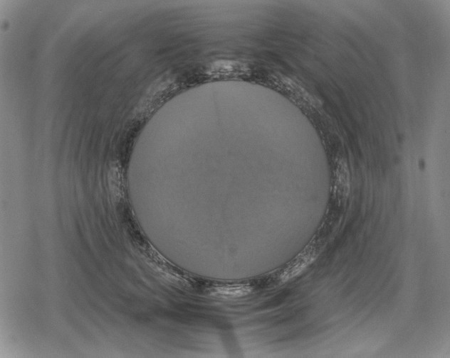 X0000079320659200612151818