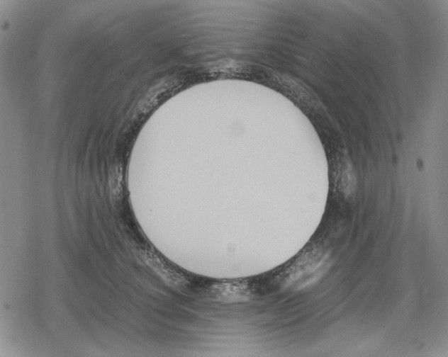 X0000079320660200612151818