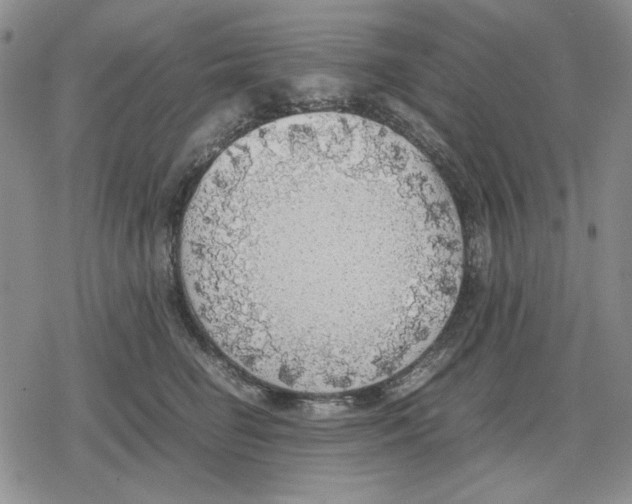 X0000079320662200612151818