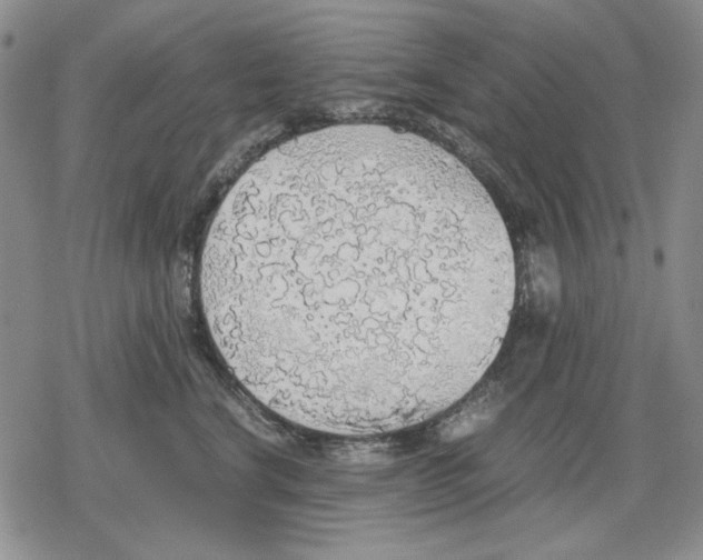 X0000079320664200612151818