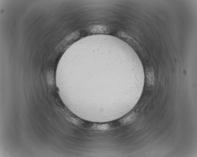 X0000079320665200612151818