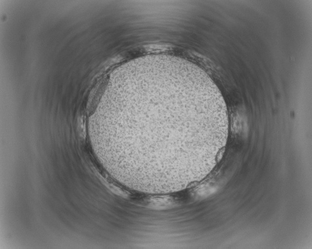 X0000079320666200612151818