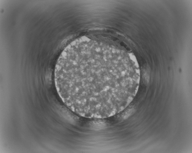 X0000079320668200612151819