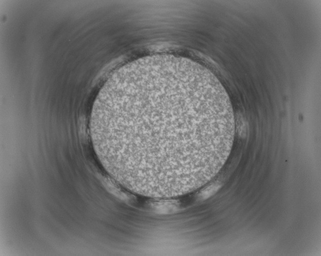 X0000079320670200612151819