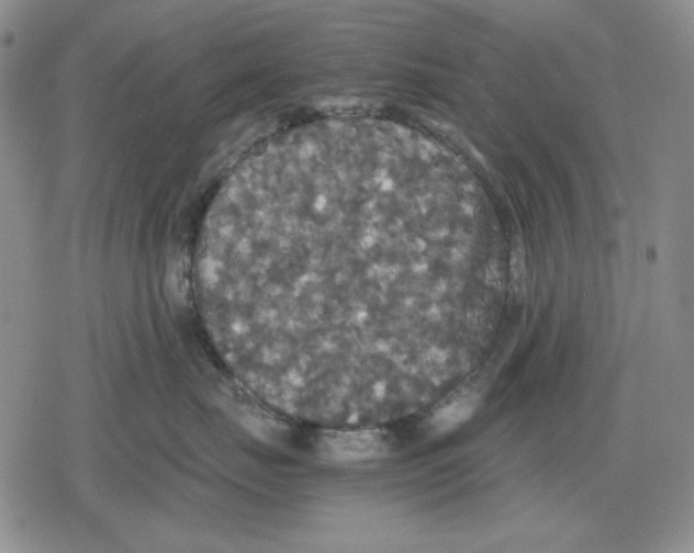 X0000079320671200612151819