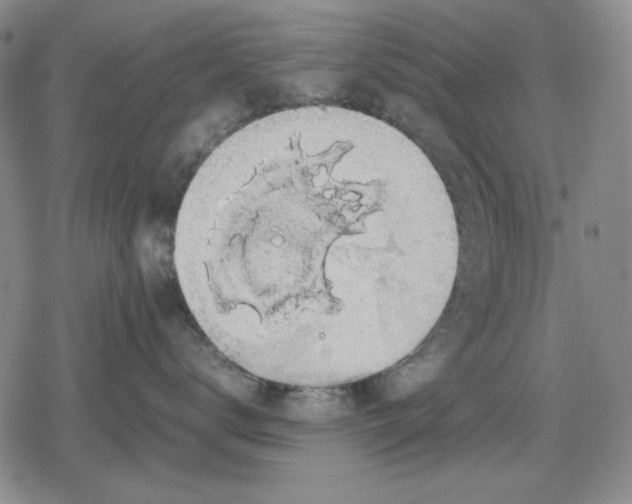 X0000079320672200612151819