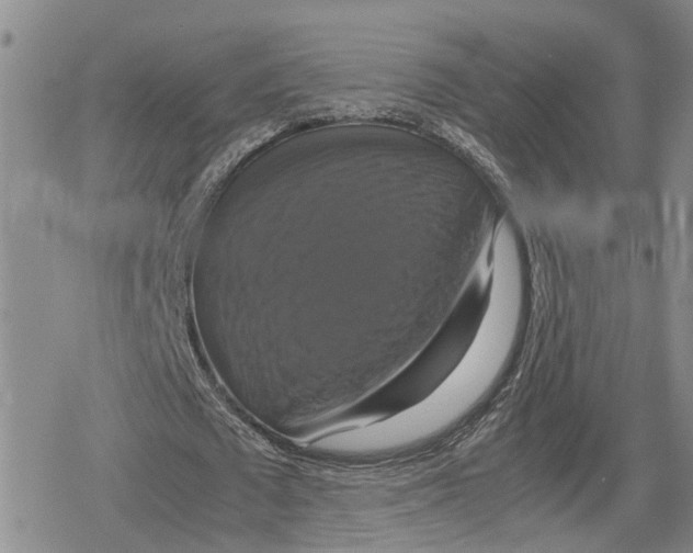 X0000079320673200612151818