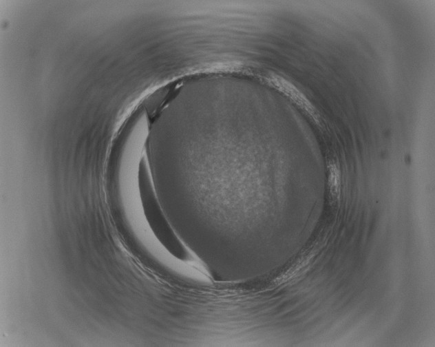 X0000079320676200612151818