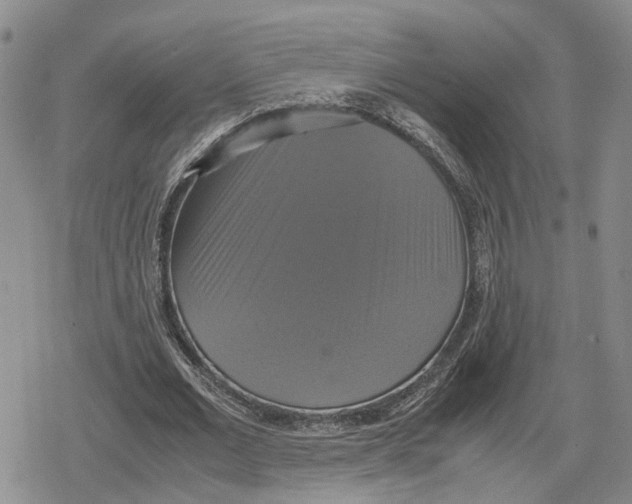 X0000079320677200612151818