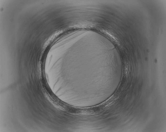 X0000079320678200612151818