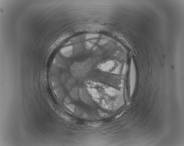 X0000079320679200612151818