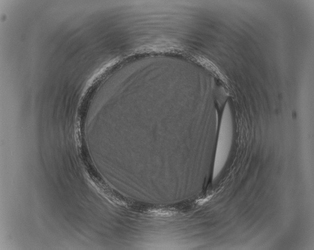 X0000079320680200612151818