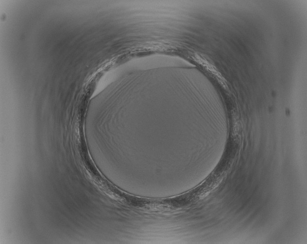 X0000079320681200612151818