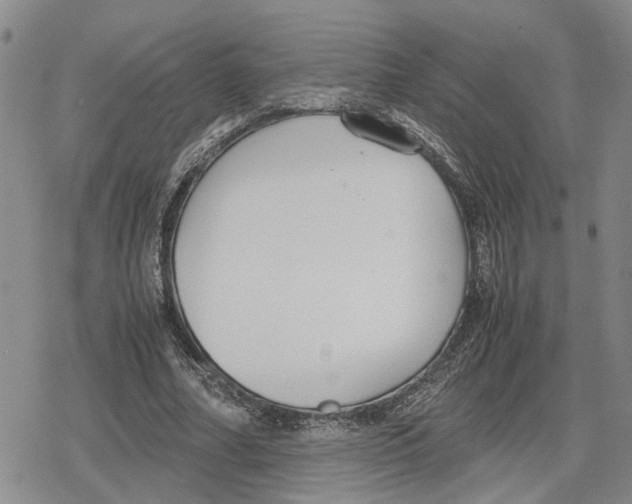 X0000079320682200612151818