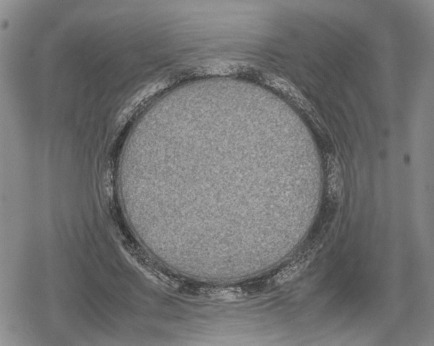 X0000079320683200612151818