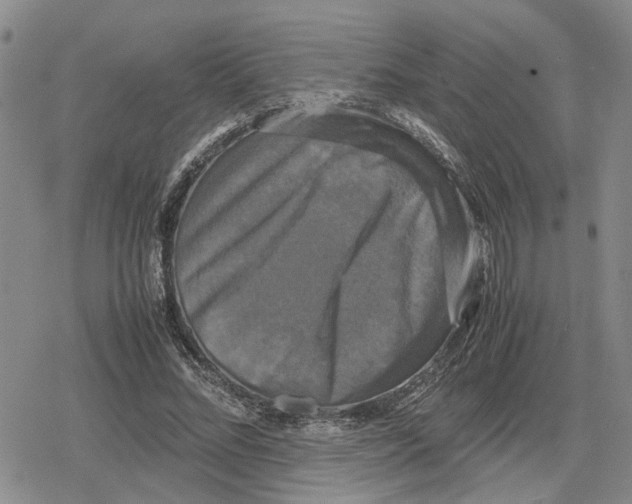 X0000079320684200612151818