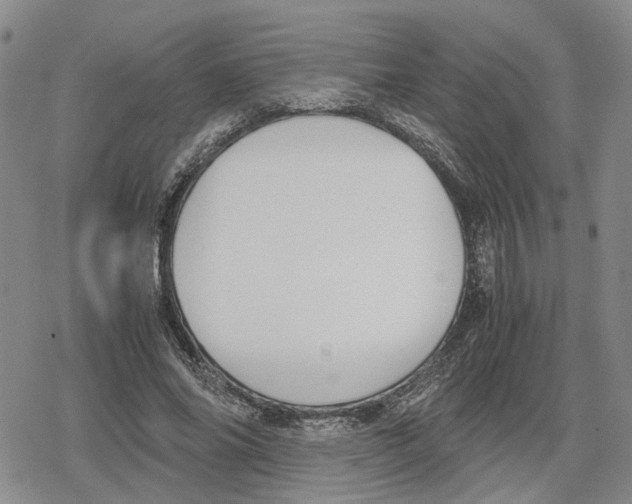 X0000079320686200612151818