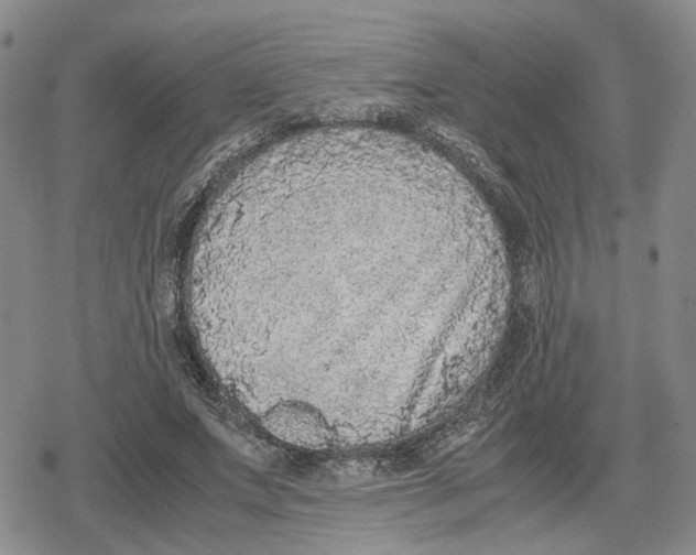 X0000079320687200612151818