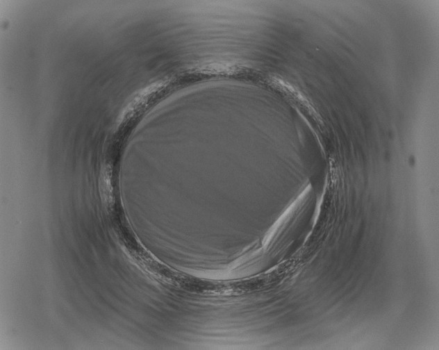 X0000079320688200612151818