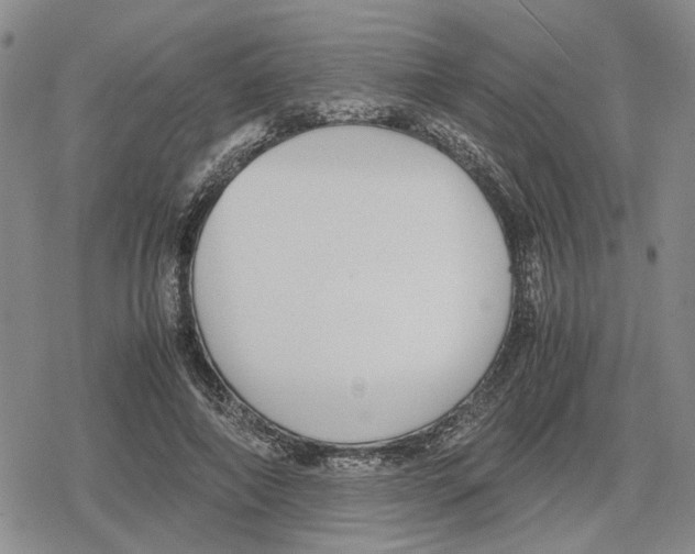 X0000079320690200612151818