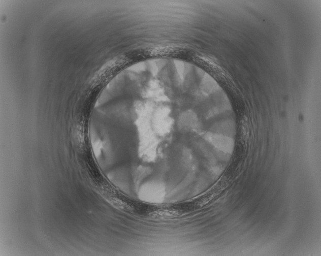 X0000079320691200612151818