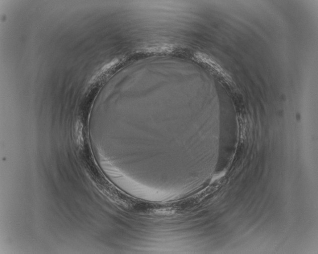 X0000079320692200612151817