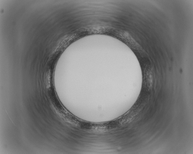 X0000079320694200612151817