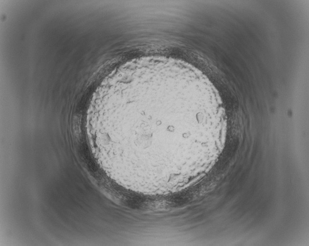 X0000079320695200612151817