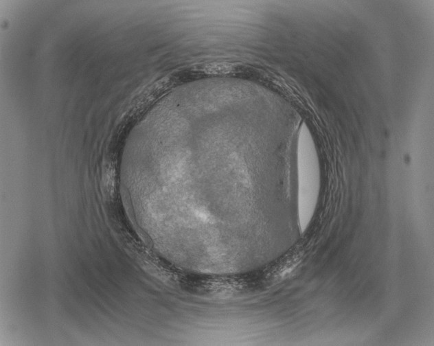 X0000079320697200612151817