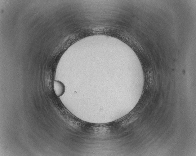 X0000079320698200612151817