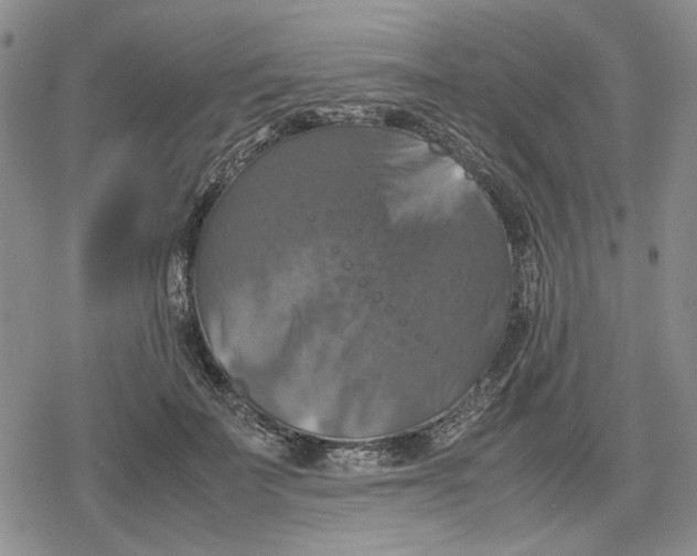 X0000079320699200612151817