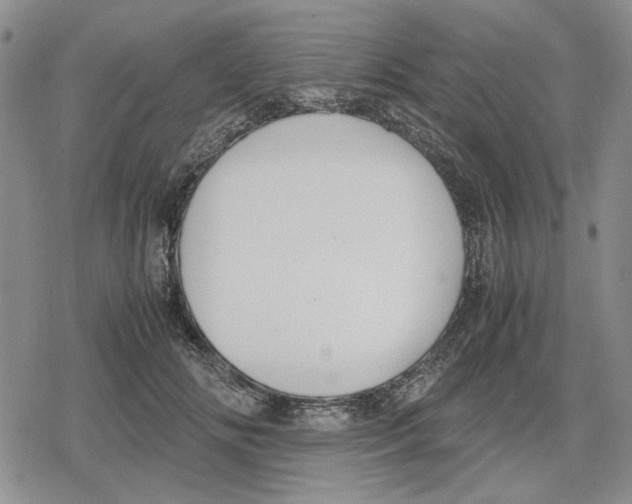 X0000079320702200612151817