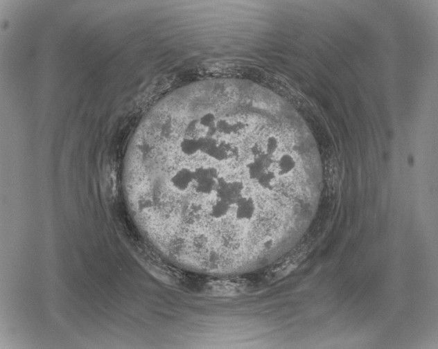 X0000079320703200612151817