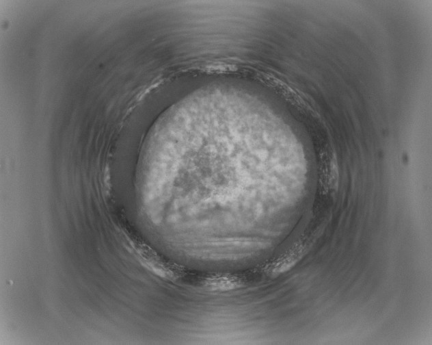 X0000079320704200612151817