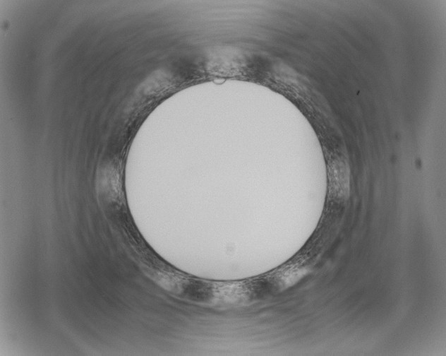 X0000079320705200612151817