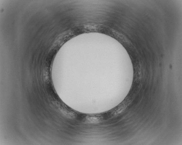 X0000079320706200612151817