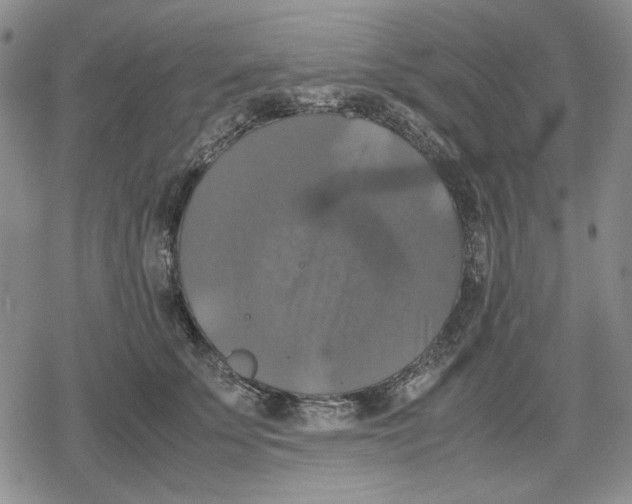 X0000079320707200612151817