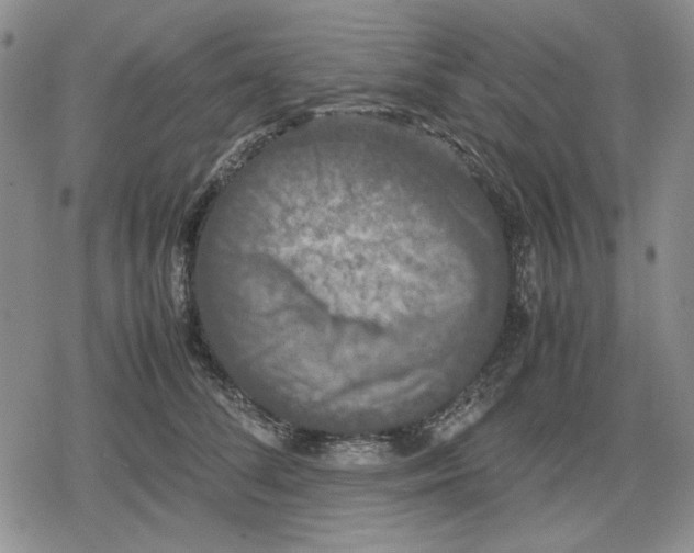 X0000079320708200612151817