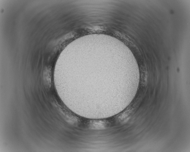 X0000079320710200612151817